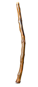 Heartland Didgeridoo (HD471)